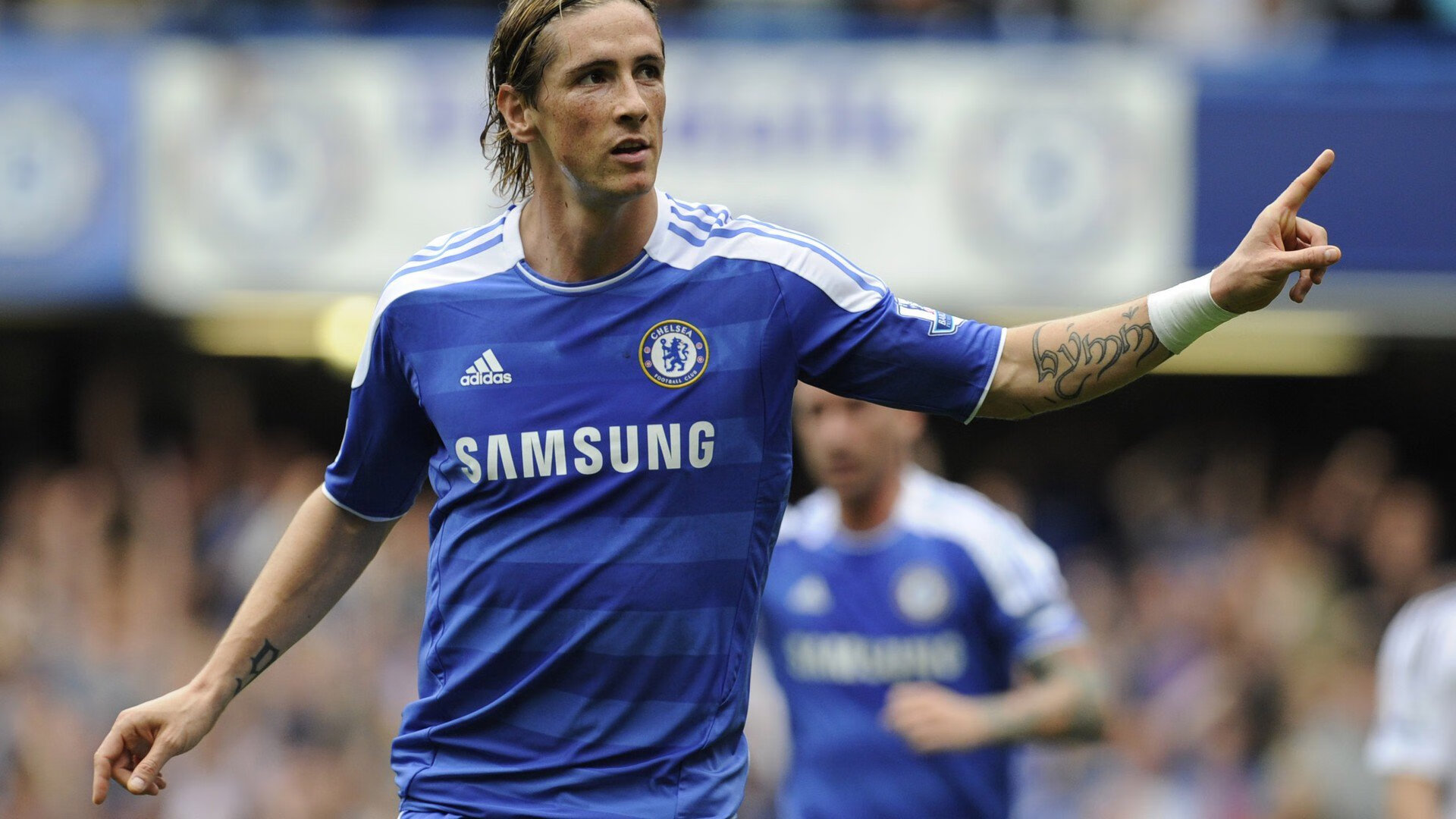 年轻阵容初露锋芒，自由泳组最具潜力，自由泳最帅